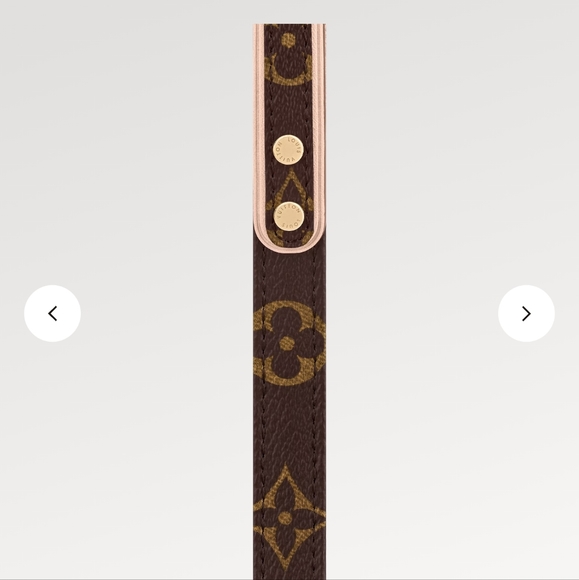 Louis Vuitton MM Monogram Dog Leash and Collar - Picture 10 of 16